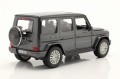 31531Gy_2.jpg