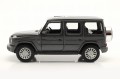 31531Gy_3.jpg